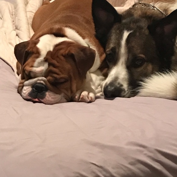 Meet your Posher: Chyna Elexis - Picture 6 of 6